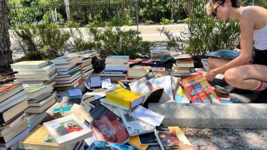 New College of Florida trashed hundreds of books — including many focusing on LGBTQ and race issues