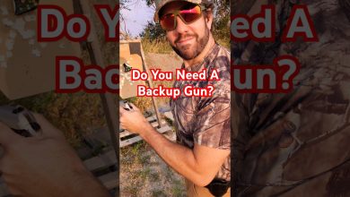 Backup Guns. Do Civilians Need Them? (real question) 🐁 🔫  #shorts #backupgun #pistol #surprisegun