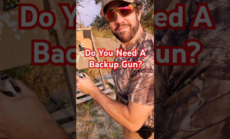 Backup Guns. Do Civilians Need Them? (real question) 🐁 🔫  #shorts #backupgun #pistol #surprisegun