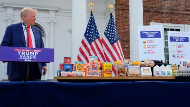 Bizarre moment Trump is distracted by box of Cheerios at Bedminster press conference