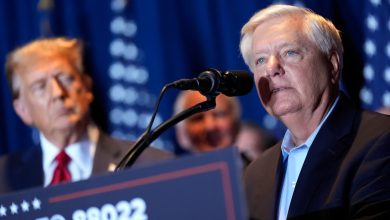 Lindsey Graham admits ‘Trump the provocateur, the showman’ could lose election