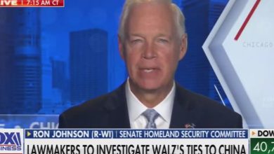 GOP senator Ron Johnson slams ‘radical leftist’ Tim Walz for ‘getting married on the anniversary of Tiananmen Square’