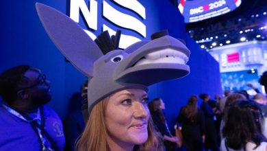 Big cheese and crab hats: The most ridiculous outfits spotted at the DNC