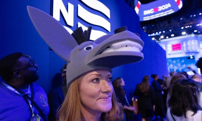 Big cheese and crab hats: The most ridiculous outfits spotted at the DNC