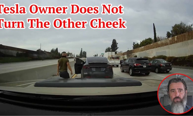 Tesla Owner Does Not Turn The Other Cheek