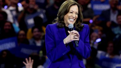 Watch again: Final day of Democratic National Convention in Chicago as Harris accepts nomination