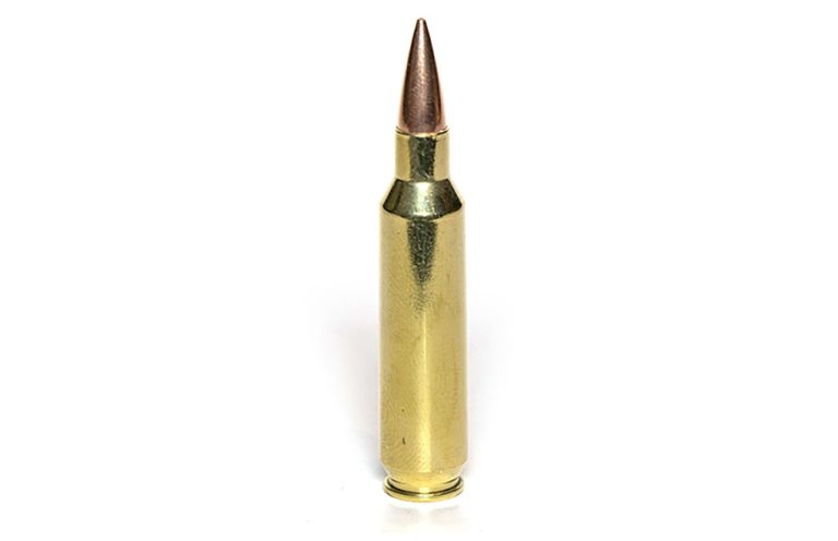 22 Nosler Overview: Ballistics And Beyond