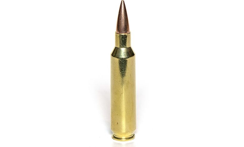 22 Nosler Overview: Ballistics And Beyond