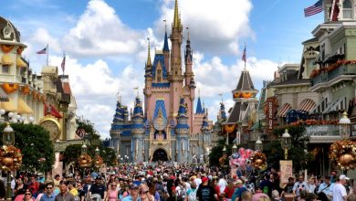 Disney is planning massive renovations and expansion of its parks – here is what to expect