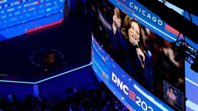 Watch: Delegates arrive at the United Center on third day of DNC