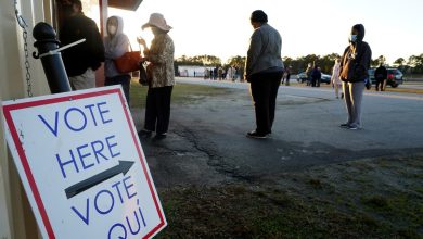 Georgia officials will give election workers panic buttons to keep them safe amid rising threats