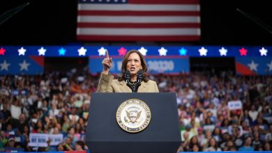 Why Trump should fear the women going all out for Kamala Harris