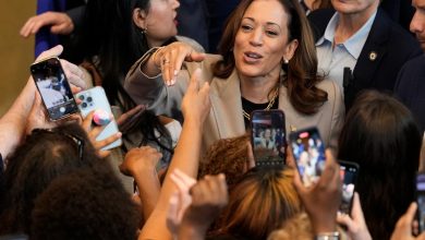 Watch live: Kamala Harris delivers first major economy speech of 2024 campaign