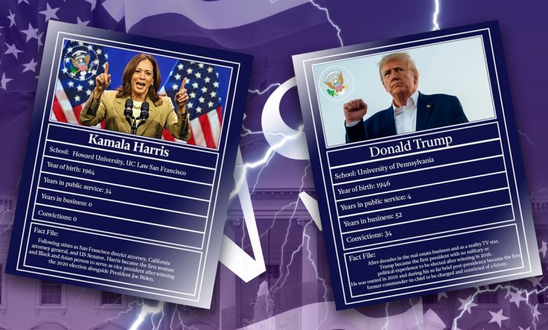 Trump vs. Harris: How their resumes compare in the race to become the next president