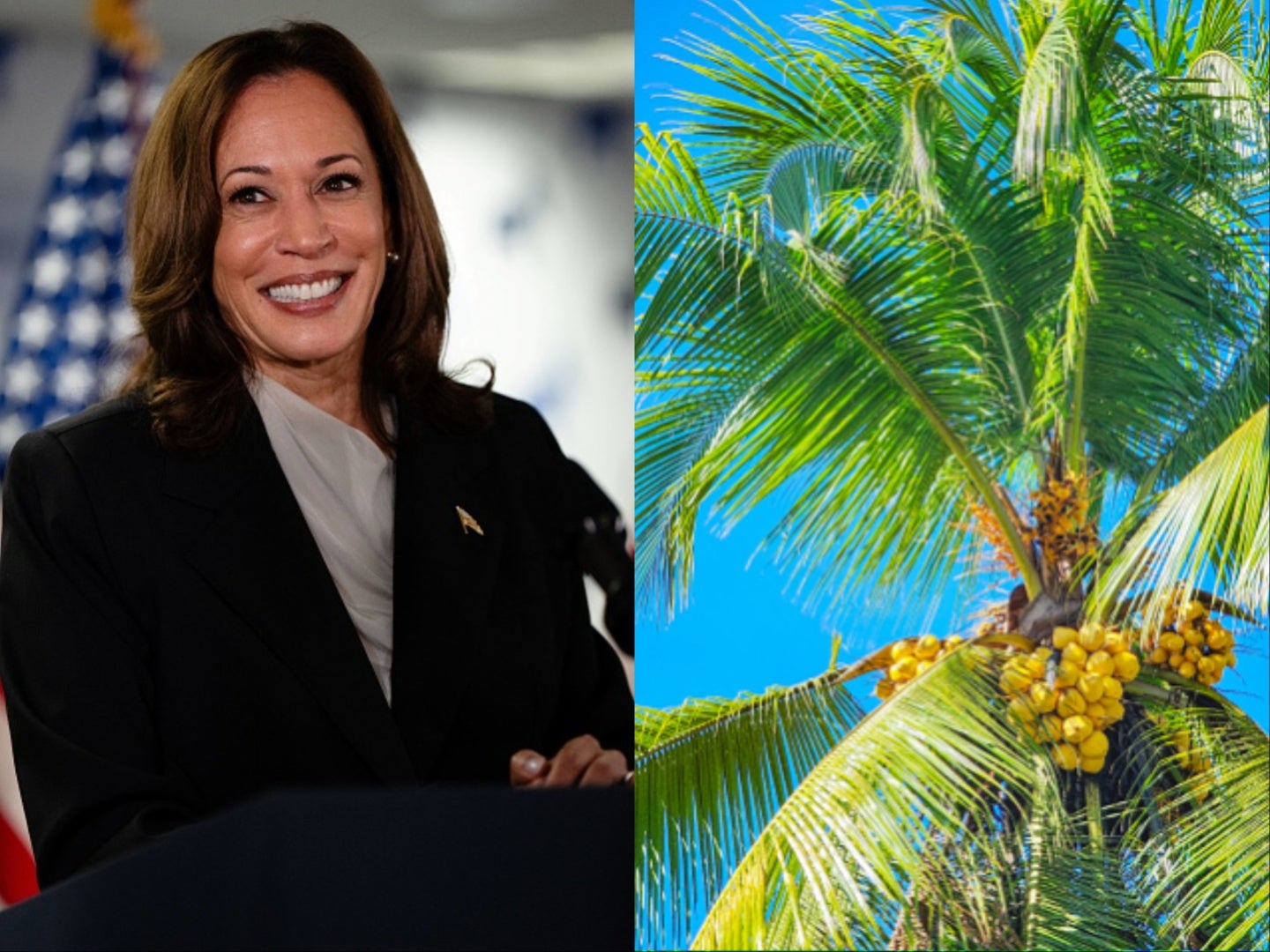 If there’s a word that has become synonymous with Kamala Harris, it’s ‘coconut’