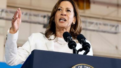 Harris-Trump live: Vance attacks Walz over military service record in Wisconsin and Michigan stops as Harris hits back at rally protesters