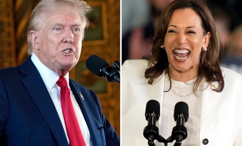 Harris and Trump have never been in the same room together. A debate will change that