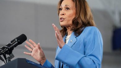 Kamala Harris promises to lower costs as she slams Trump for having ‘no serious plans’ to help middle class