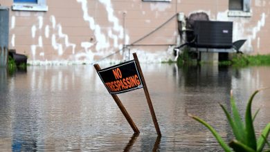 Mapped: Tracking Tropical Storm Debby as it makes landfall in Florida