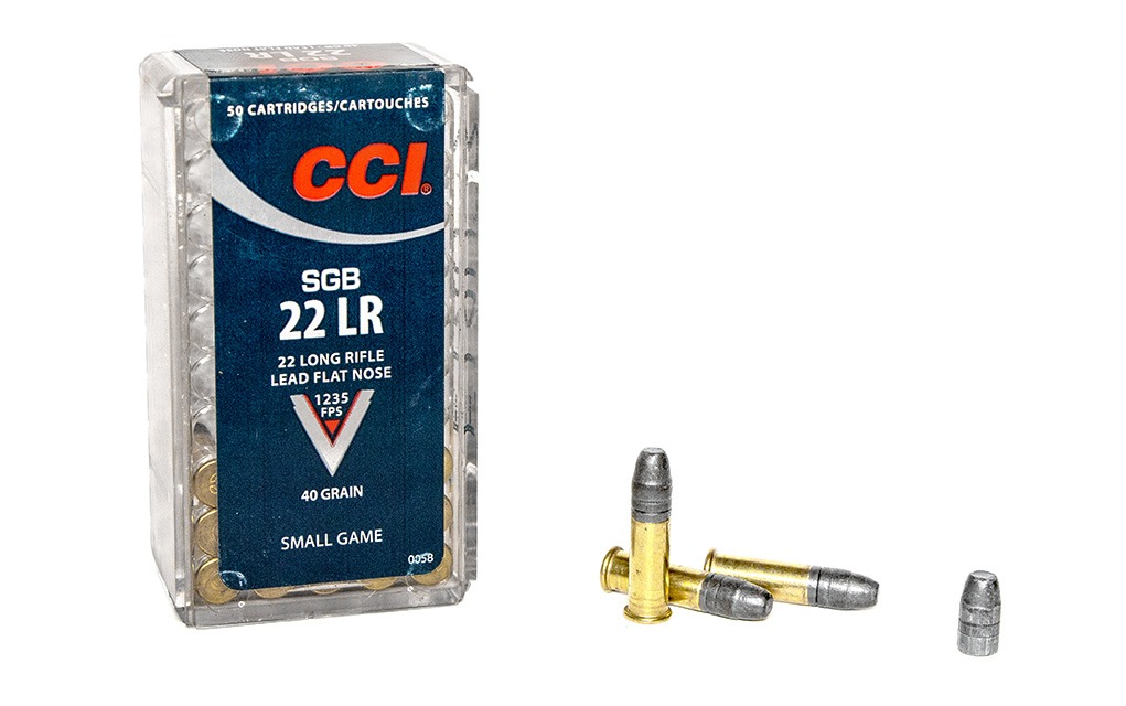 cci-sgb-22-ammo