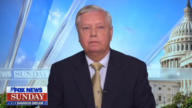 Lindsey Graham warns Trump to stop birther-like attacks on Harris’s heritage