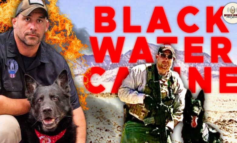 Training Blackwater K-9’s with Dogs For Defense Inc. Founder Dan Hughes | Mike Drop 204