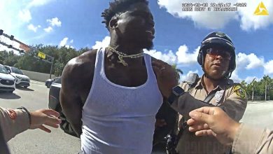 Bodycam Footage of Tyreek Hill Detainment