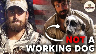 Navy SEAL Smuggles Dog Out of Afghanistan – Bringing Frank Home with Jeff Reid | Mike Drop 205