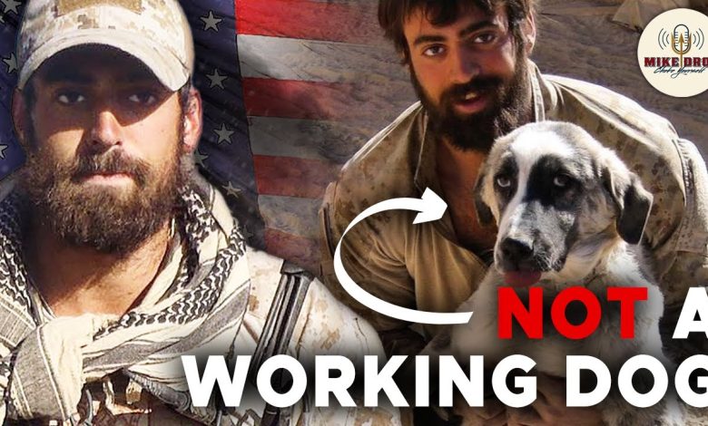 Navy SEAL Smuggles Dog Out of Afghanistan – Bringing Frank Home with Jeff Reid | Mike Drop 205