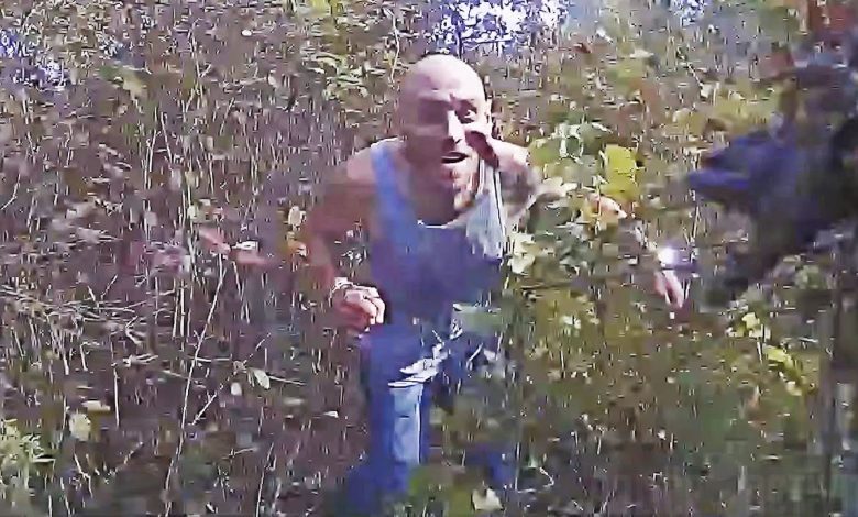 Limo Driver Leads Officers on Chase Through Wooded Area After Crashing During Pursuit