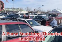 A Purse Snatching Thwarted In Maryland