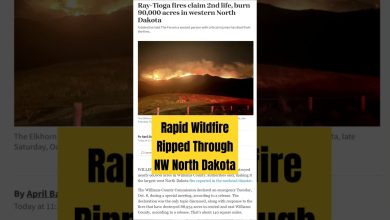 Western North Dakota Wildfire Victims Helped Directly By YOU (this a HUGE thank you!) #nodak #shorts