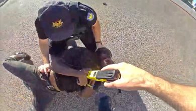 Bodycam Footage of Phoenix Officers Tasing and Punching Tyron McAlpin