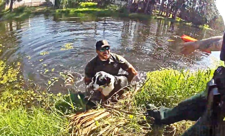 Florida Deputy Jumps into Canal to Rescue Stranded Dog