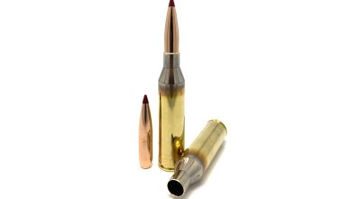 Ammo Brief: .22 Creedmoor – Gun Digest