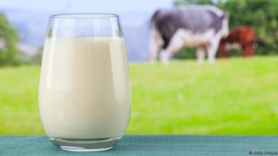 Rulers Warn Against Drinking Raw Milk