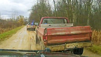 Wanted Suspect Leads Deputies on Chase in Michigan