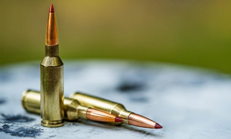 A Closer Look At Hornady’s .22 ARC