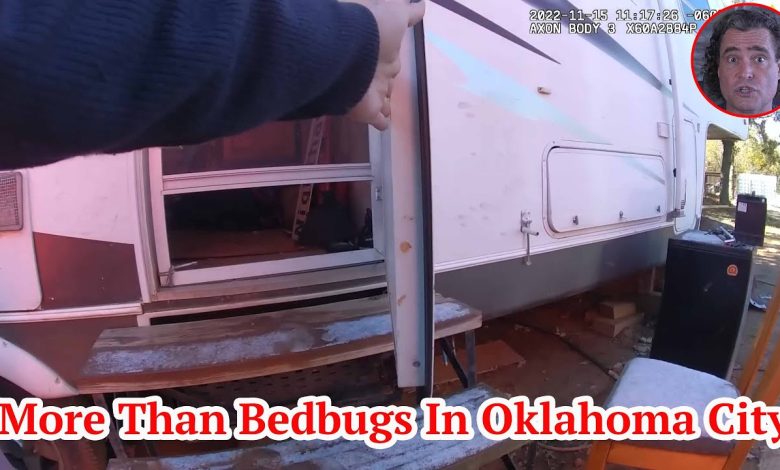 More Than Bedbugs In Oklahoma City