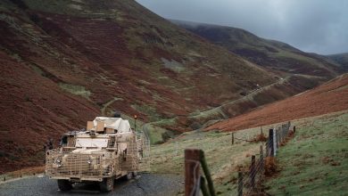 British troops test laser weapon as cheap option to fry drones