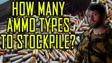 How Many Types of Ammo to Stockpile?