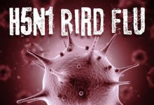 Are The “Mistakes” Of COVID Being Repeated With Bird Flu?