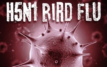 First Human Cases of Bird Flu Reported In California