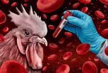 Scientists Say Bird Flu Virus Is “Mutating Fast” And “Vaccines” May Not Be Enough