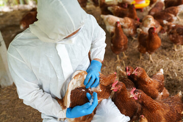 UN Declares “Unprecedented” Bird Flu Threat