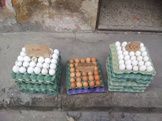 People Start Stockpiling Eggs As Shortages Worsen