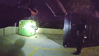 Stolen Vehicle Pursuit Ends With Suspects Hiding in Dumpster