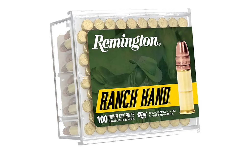 Remington ranch hand 22