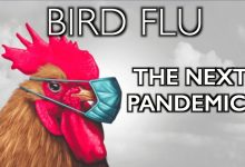 Scientists: The Risk of a Bird Flu Pandemic Is Rising