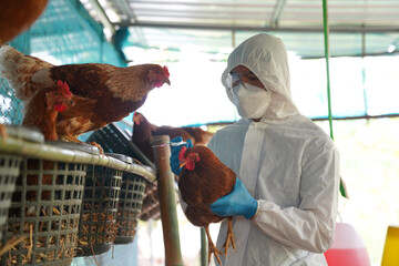 Bird Flu Response: Biden Admin Allocates 6 Million In Its Final Days